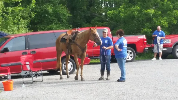 Central Hospital For Animals - Herrin Picture 5