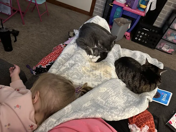 Vetco Total Care - Little Egypt Vet Clinic Picture 1