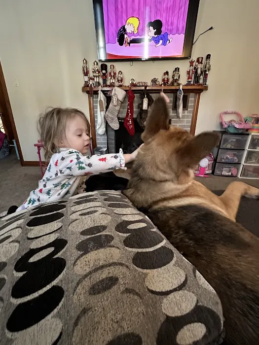 Vetco Total Care - Little Egypt Vet Clinic Picture 3