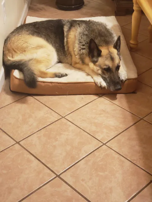 Vetco Total Care - Little Egypt Vet Clinic Picture 5