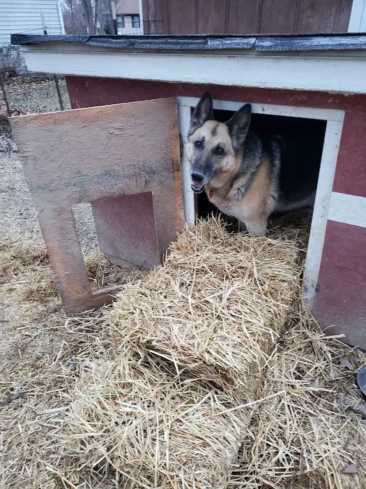 Vetco Total Care - Little Egypt Vet Clinic Picture 8