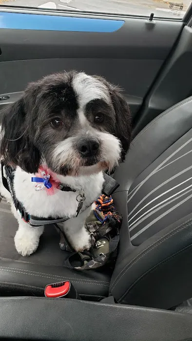 Teal Veterinarian Services Picture 1