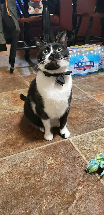 Teal Veterinarian Services Picture 2