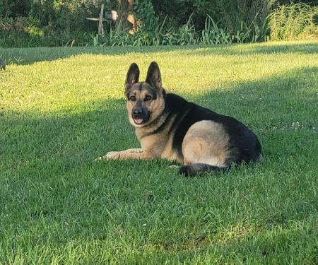 Town & Country Vet Clinic