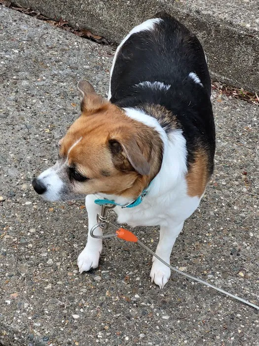 Town & Country Vet Clinic Picture 5