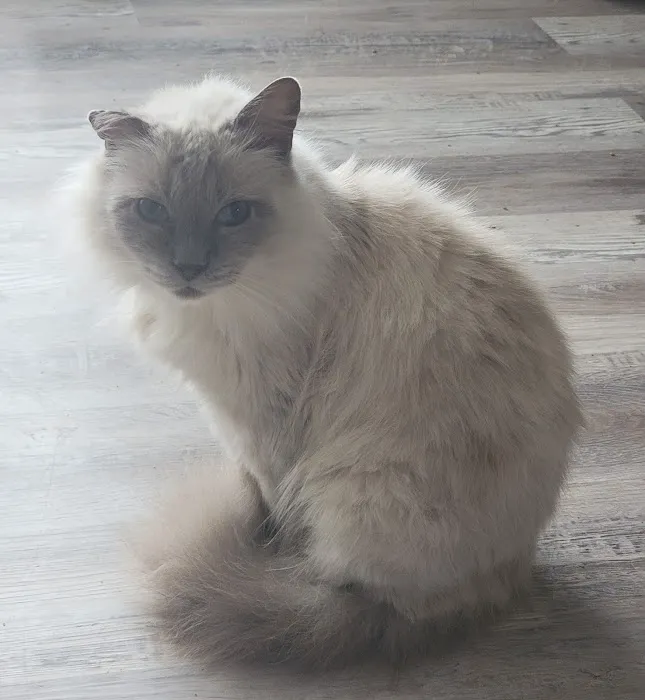 Town & Country Vet Clinic Picture 2