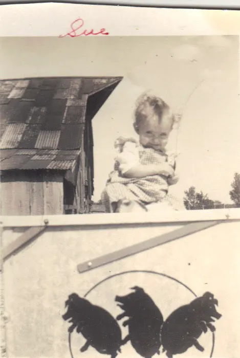 Harbison, Carey DVM - Harrisburg Veterinary Clinic Picture 4