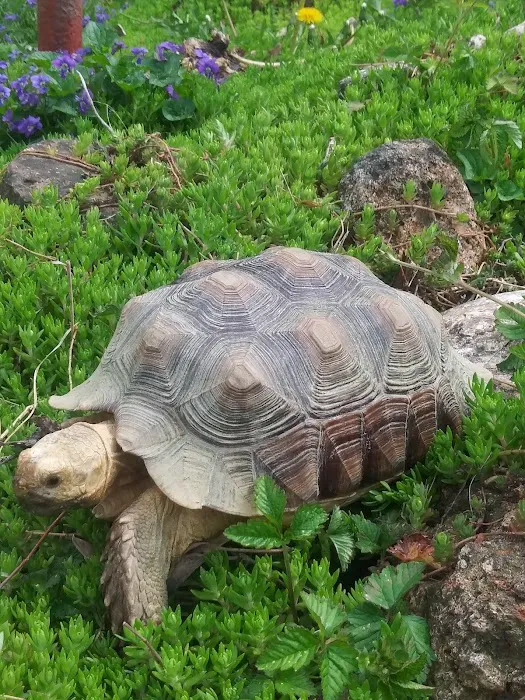 Harrisburg Veterinary Clinic Picture 5