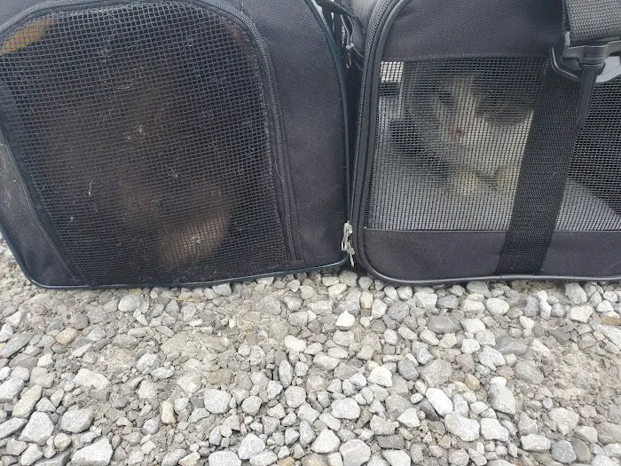 Harrisburg Veterinary Clinic Picture 3