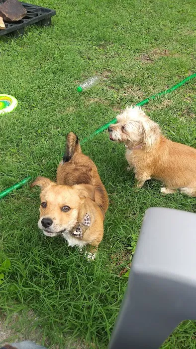 Harrisburg Veterinary Clinic Picture 8