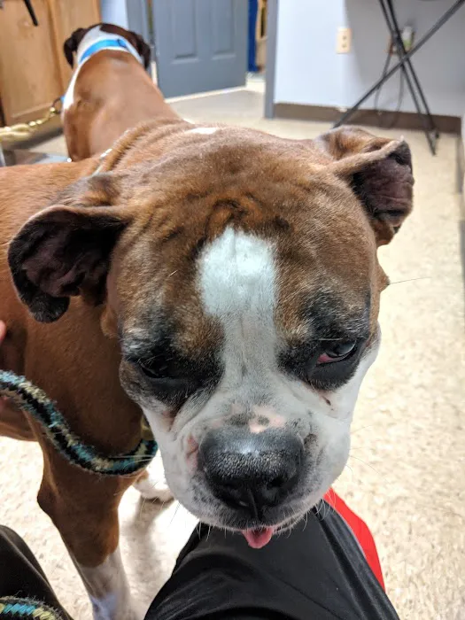 Harrisburg Veterinary Clinic Picture 6