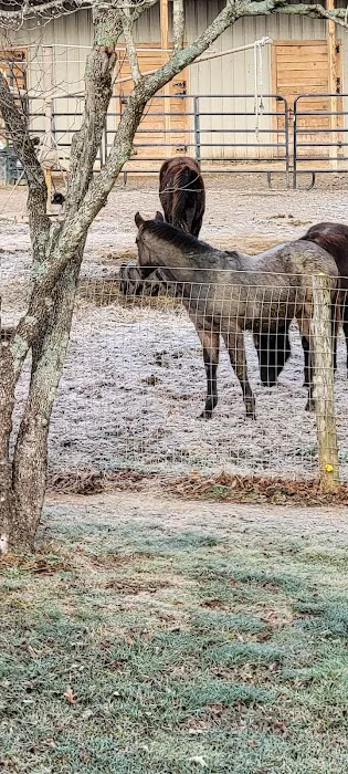 Beasley Equine Clinic Picture 4