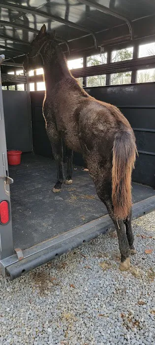Beasley Equine Clinic Picture 5