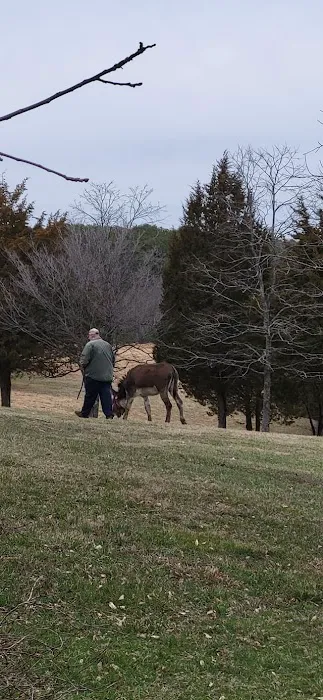 Beasley Equine Clinic Picture 7