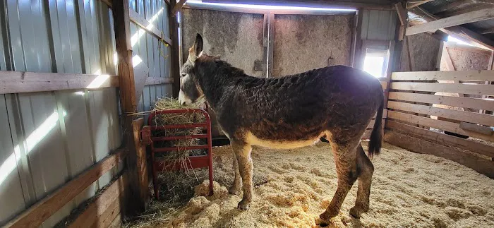 Beasley Equine Clinic Picture 6