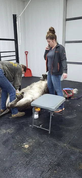 Beasley Equine Clinic Picture 9