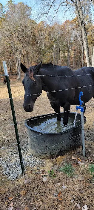 Beasley Equine Clinic Picture 10