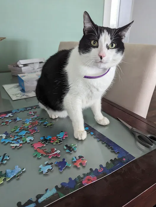 Central Hospital For Animals Picture 7