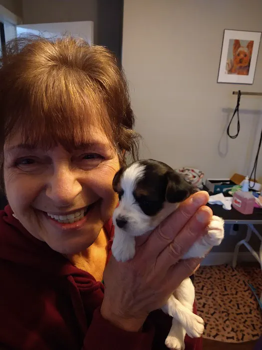 Central Hospital For Animals Picture 9