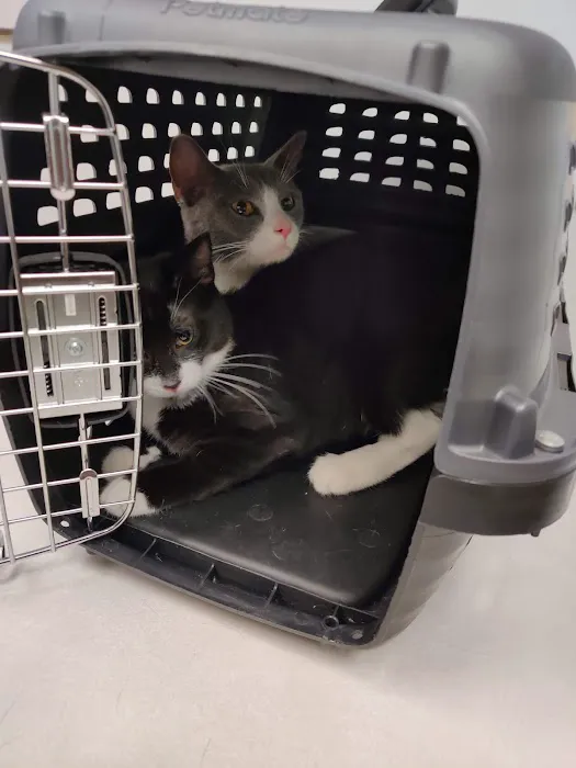 Spears Animal Hospital Picture 2