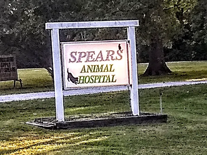 Spears Animal Hospital Picture 6