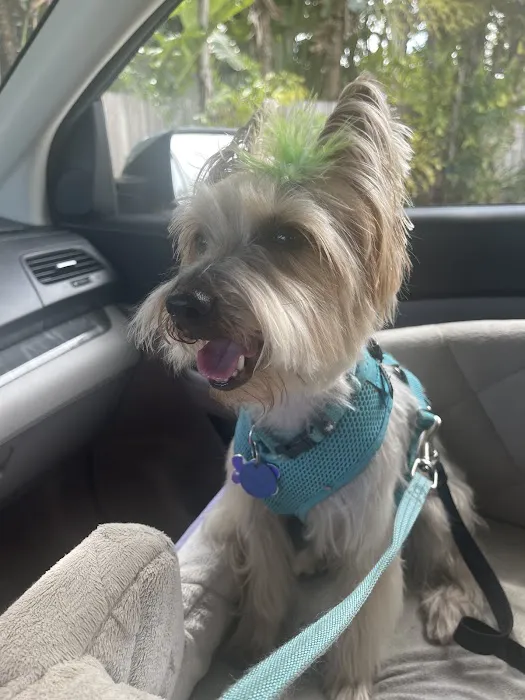 Spears Animal Hospital Picture 10