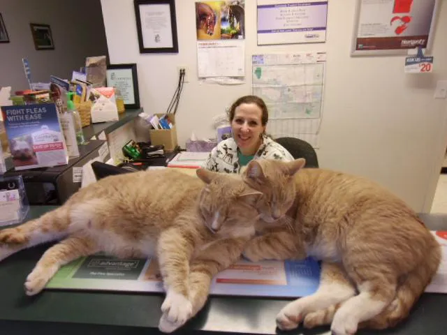 Stone Creek Veterinary Clinic Picture 4