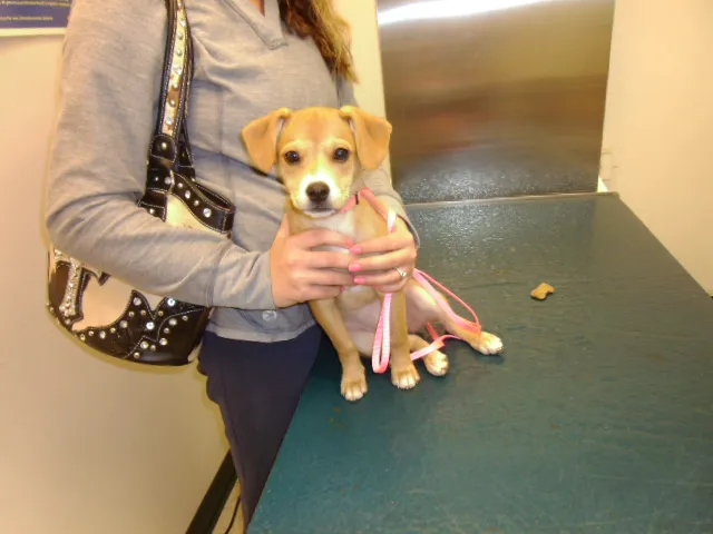 Stone Creek Veterinary Clinic Picture 5