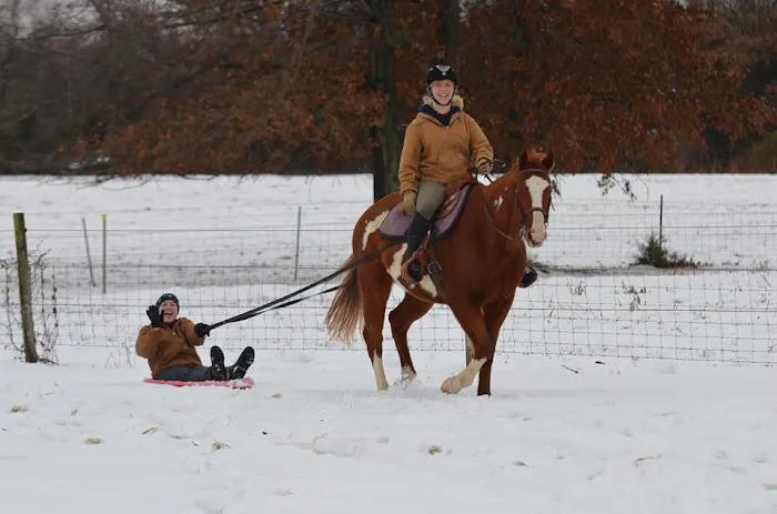 Stone Creek Veterinary Clinic Picture 7