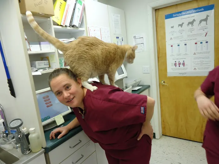 Stone Creek Veterinary Clinic Picture 10