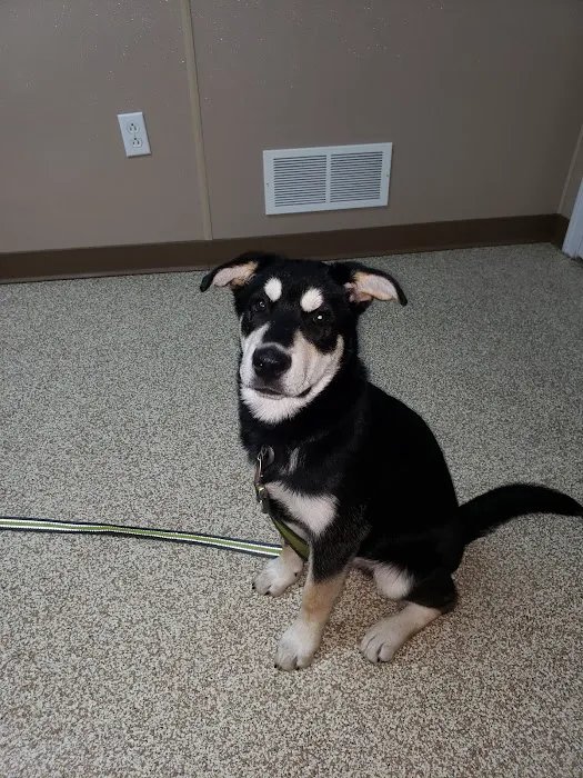 Animal Clinicof Ste. Genevieve Picture 1