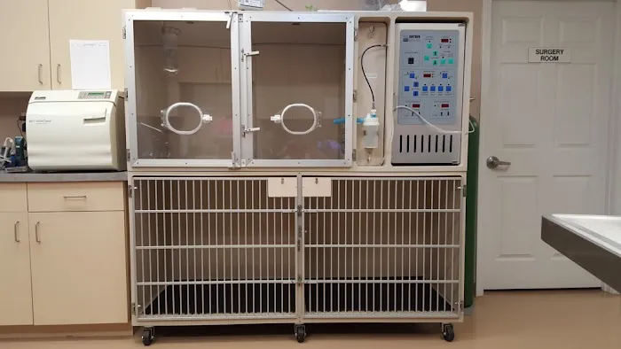 Animal Clinicof Ste. Genevieve Picture 6