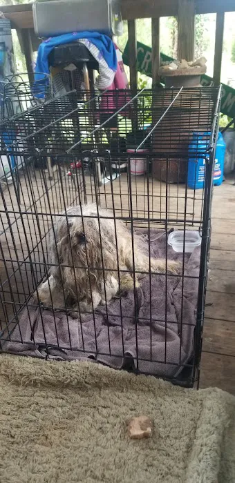 Animal Clinicof Ste. Genevieve Picture 2