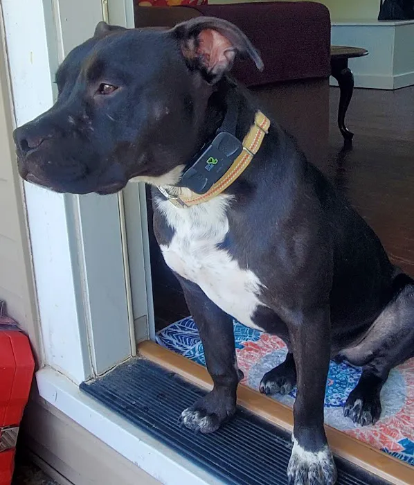 All Creatures Veterinary Clinic Picture 5