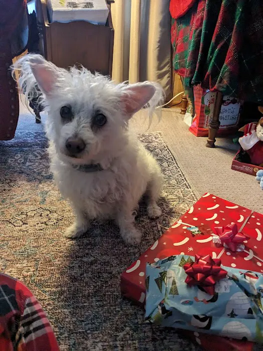 All Creatures Veterinary Clinic Picture 4