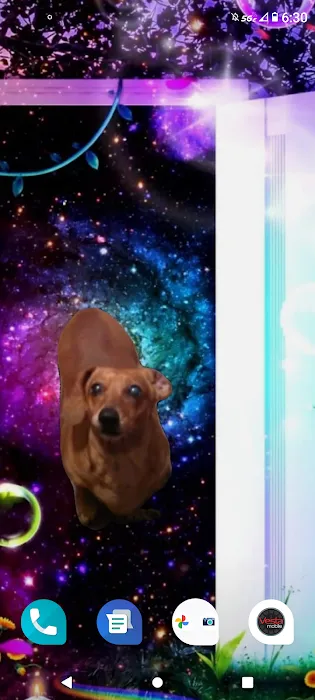 All Creatures Veterinary Clinic Picture 10