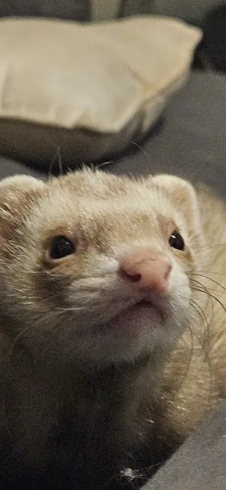 Perry County Veterinary Hospital Picture 1