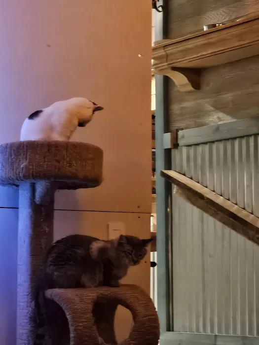 Ste. Genevieve Veterinarian Clinic Picture 5