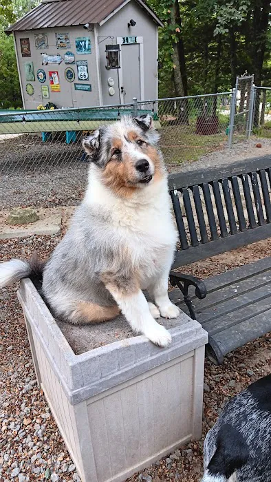 Ste. Genevieve Veterinarian Clinic Picture 7