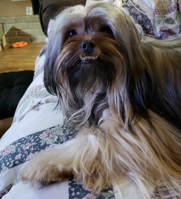 Ste. Genevieve Veterinarian Clinic Picture 4