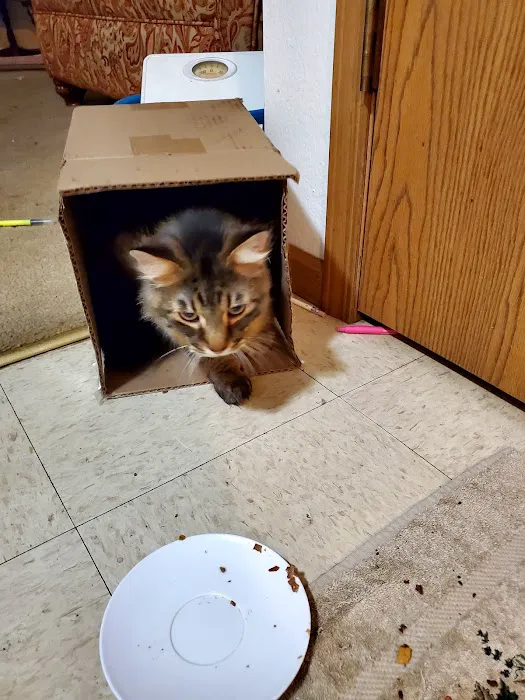 Ste. Genevieve Veterinarian Clinic Picture 6