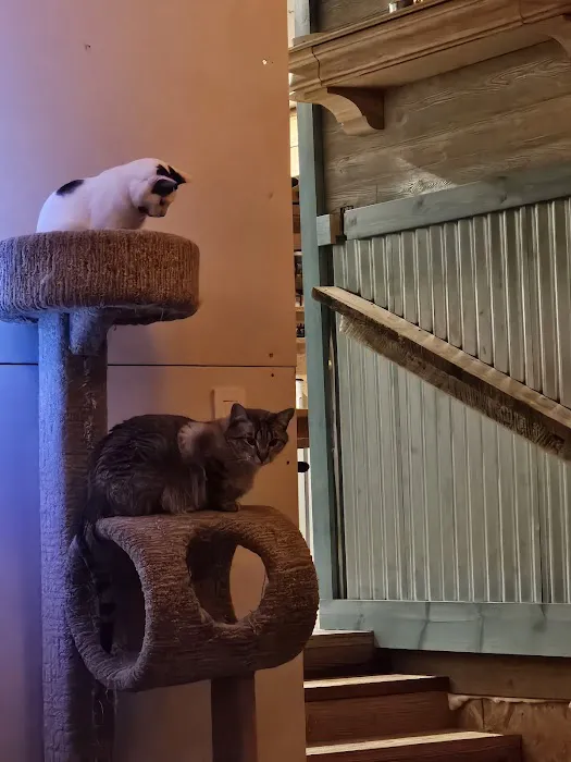 Ste. Genevieve Veterinarian Clinic Picture 10