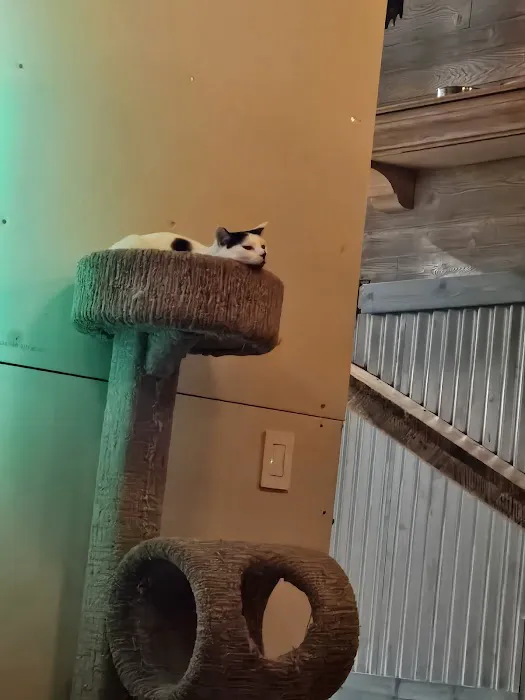 Ste. Genevieve Veterinarian Clinic Picture 9