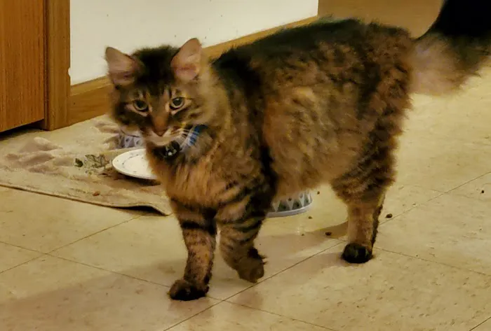 Ste. Genevieve Veterinarian Clinic Picture 8