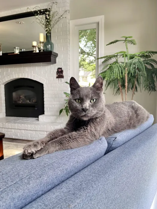 Waterloo Animal Hospital Picture 2