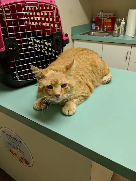 Waterloo Animal Hospital Picture 3