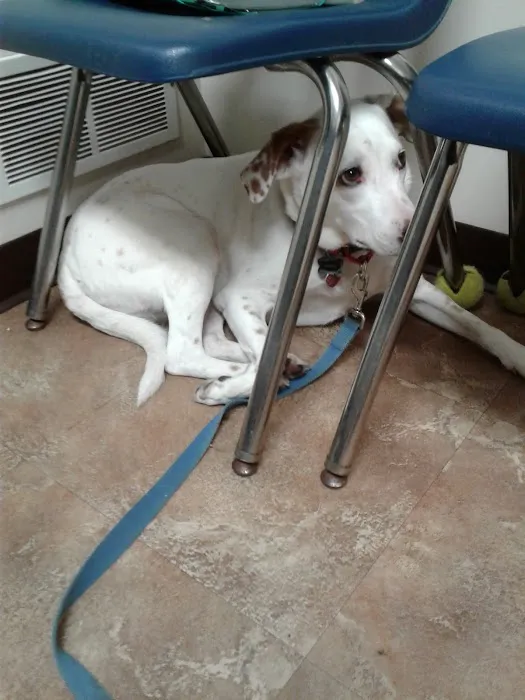 Waterloo Animal Hospital Picture 1