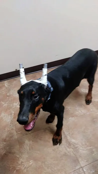 Waterloo Animal Hospital Picture 4