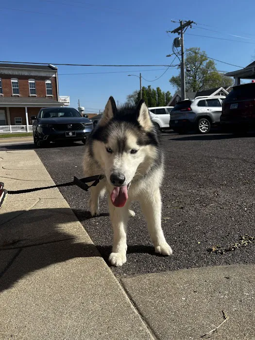 Waterloo Animal Hospital Picture 5