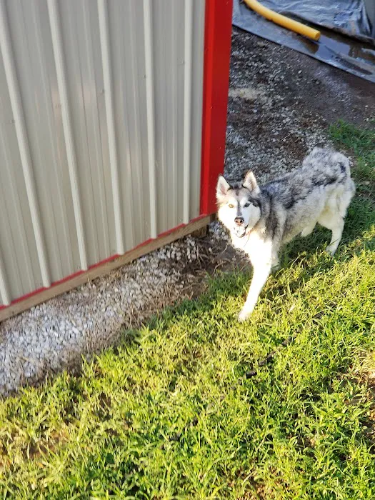 Waterloo Animal Hospital Picture 6